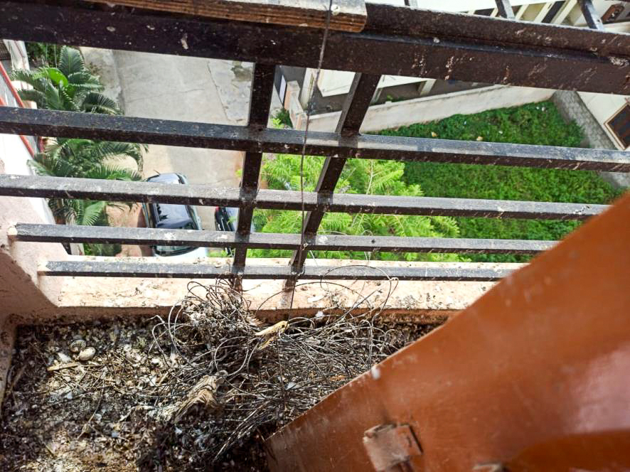 1140 square feet Flat for sale in Hyderabad — photo 19
