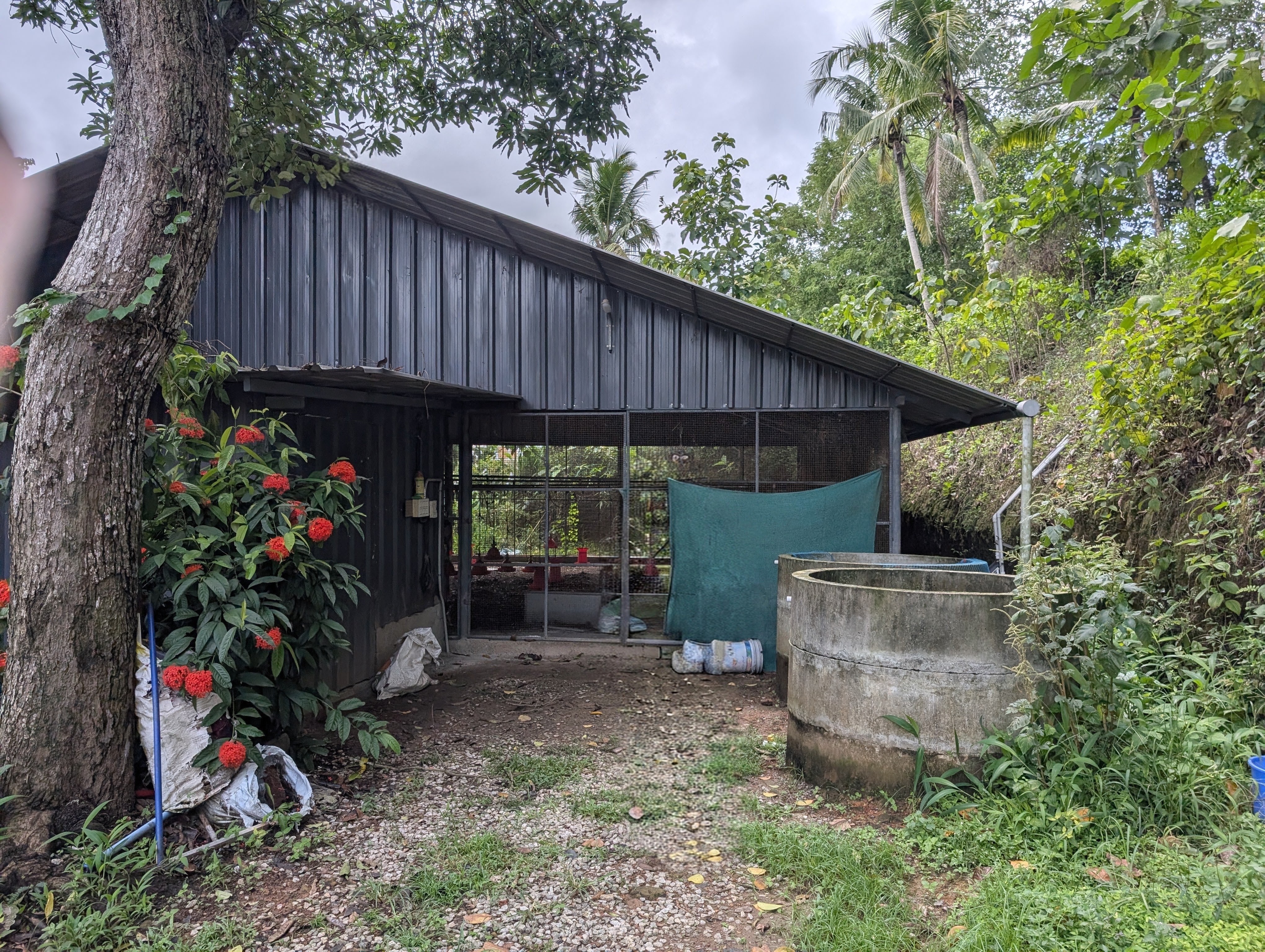 Plot for sale in Iroopara — photo 3