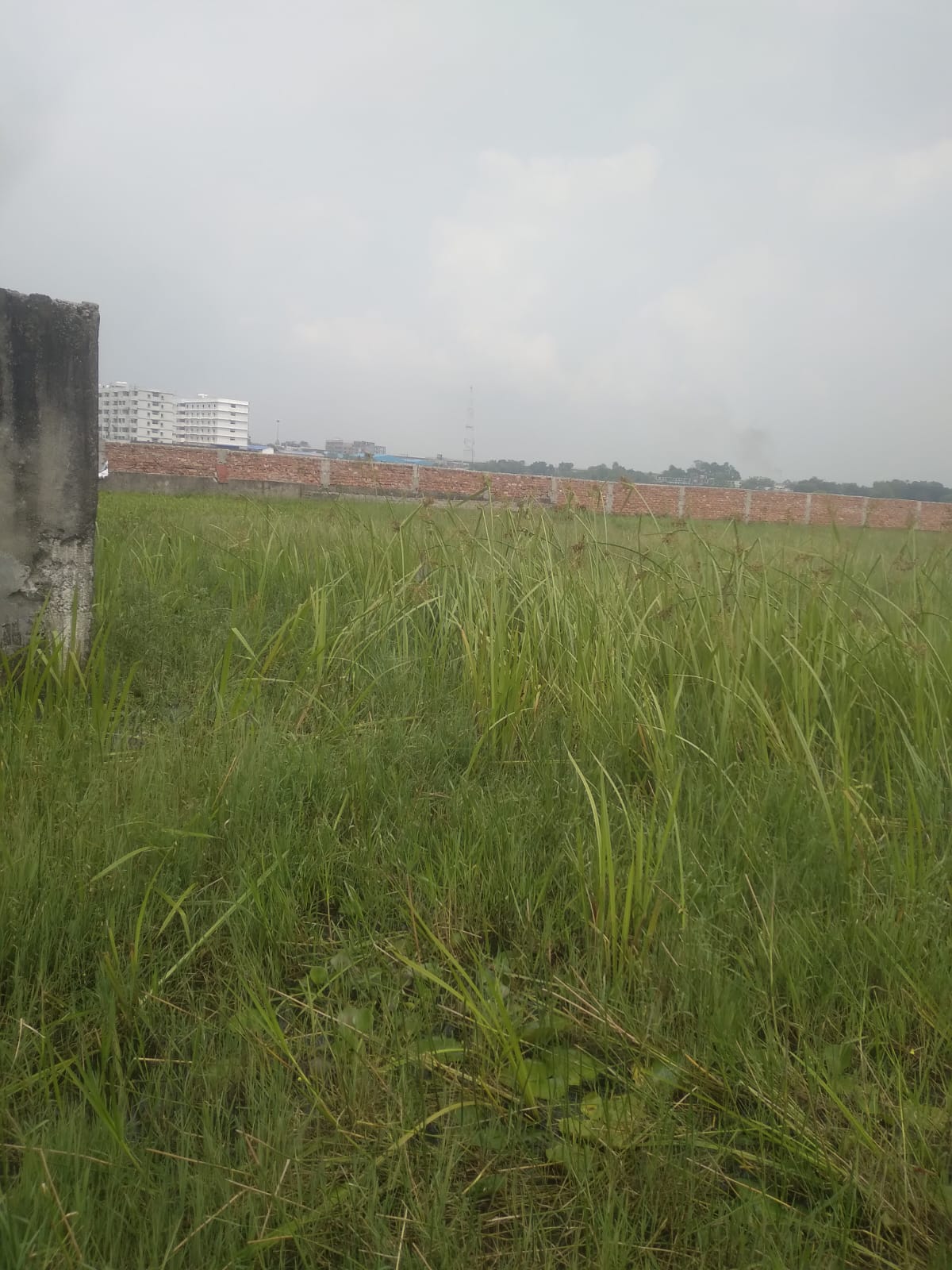 1132.56 square feet Plot for sale in Kishanganj — photo 1