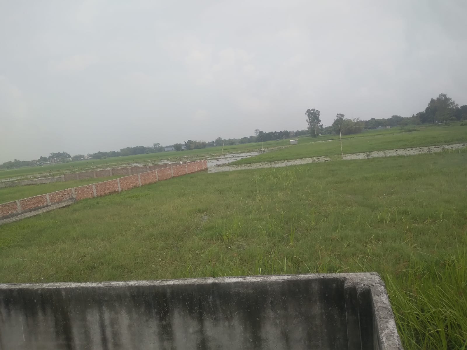 1132.56 square feet Plot for sale in Kishanganj — photo 2