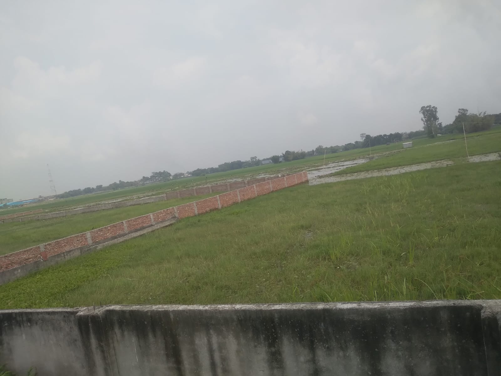 1132.56 square feet Plot for sale in Kishanganj — photo 3