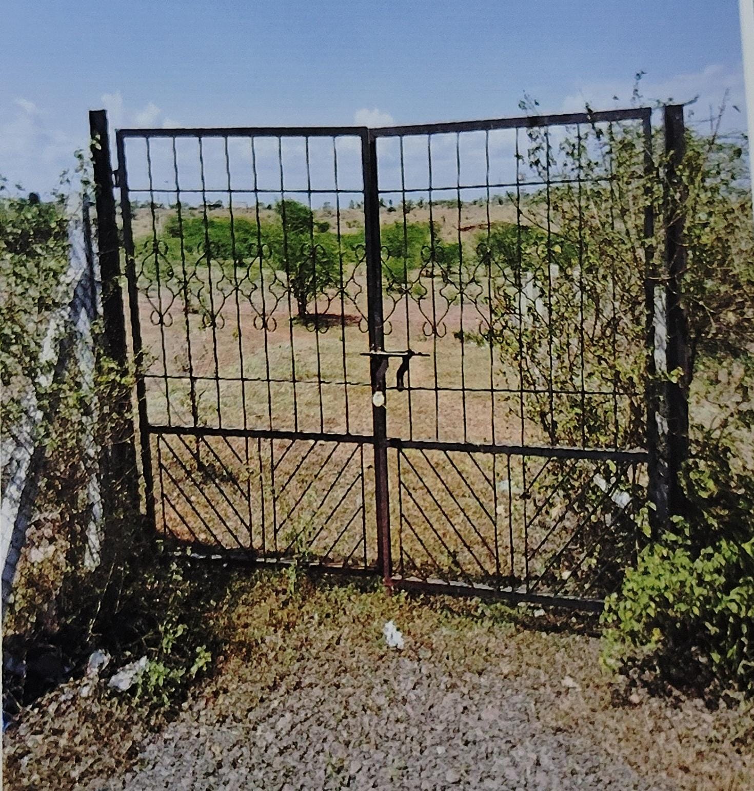 Industrial Plot for sale in Kolki — photo 2