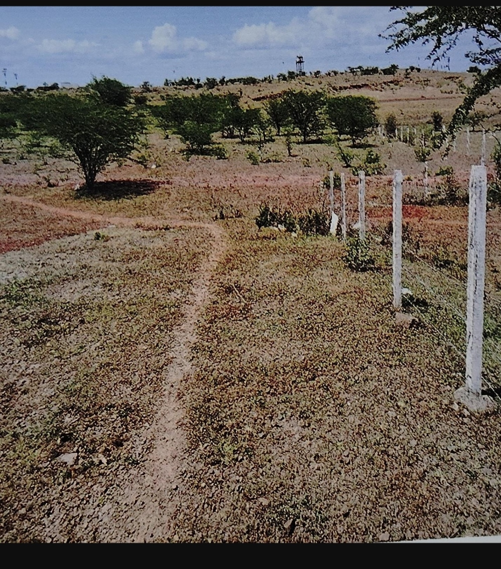 Industrial Plot for sale in Kolki — photo 1