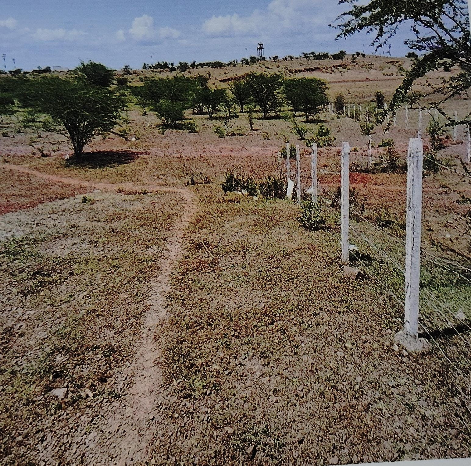 Industrial Plot for sale in Kolki — photo 3