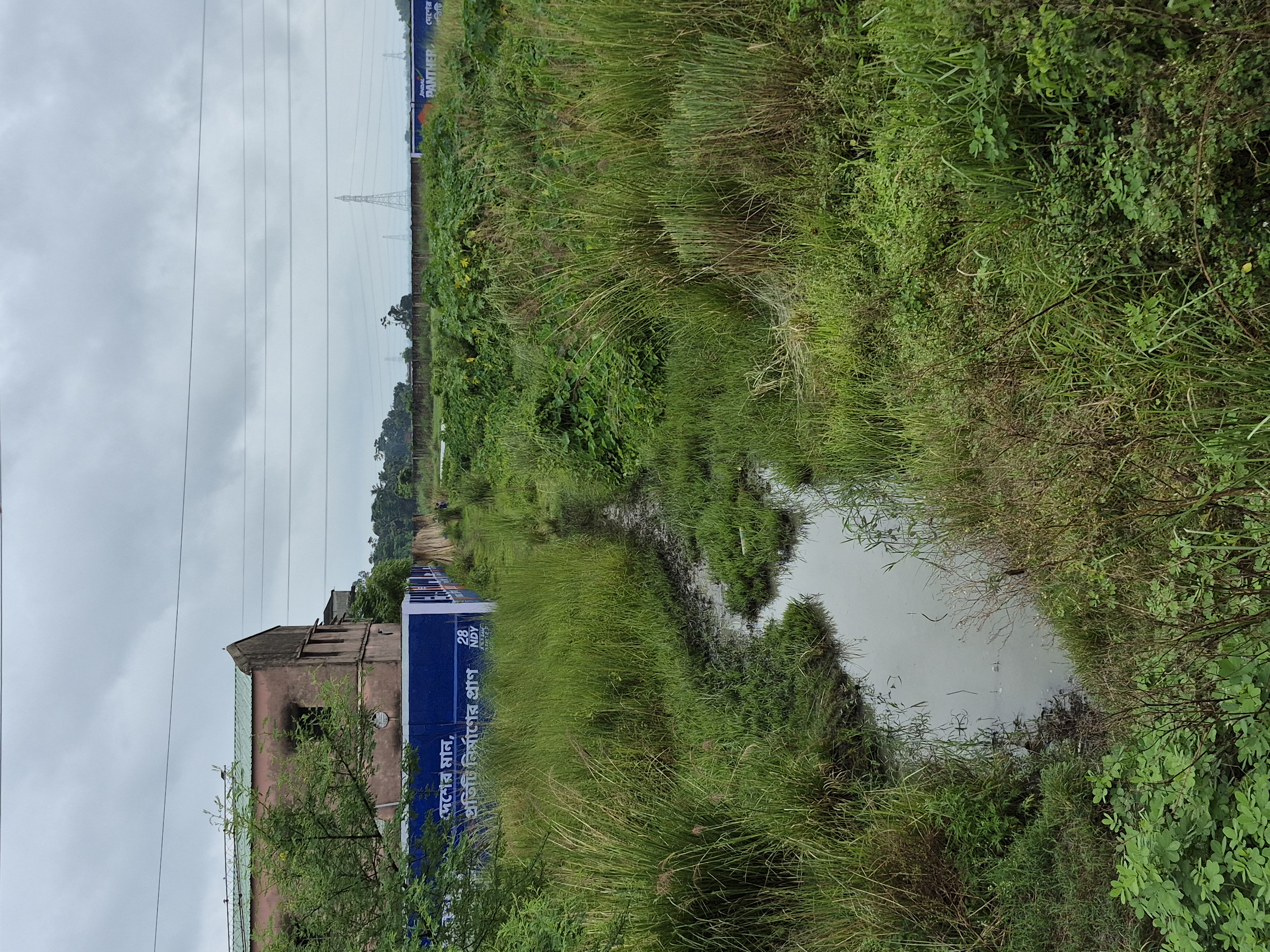 Plot for sale in Chakdaha — photo 3
