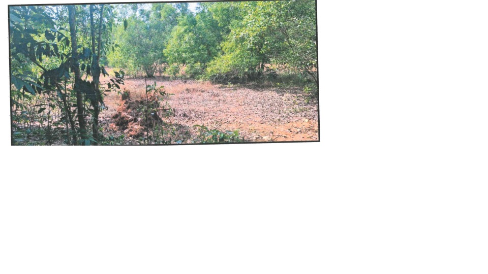 Plot for sale in SULLIA Puttur — photo 1