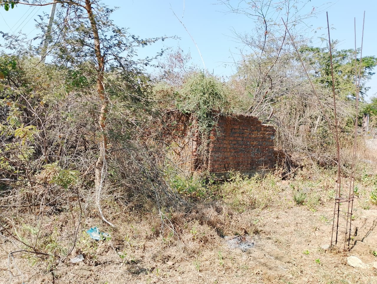 2220.07 square feet Plot for sale in Dhoptala Ballarpur Ballarpur