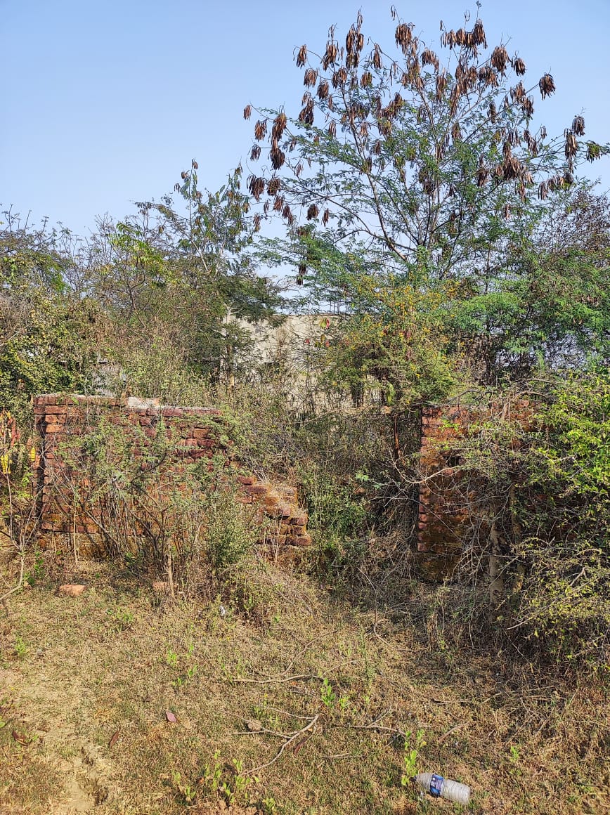 2220.07 square feet Plot for sale in Dhoptala Ballarpur Ballarpur — photo 3