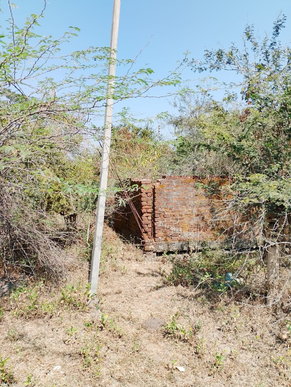 2220.07 square feet Plot for sale in Dhoptala Ballarpur Ballarpur — photo 2