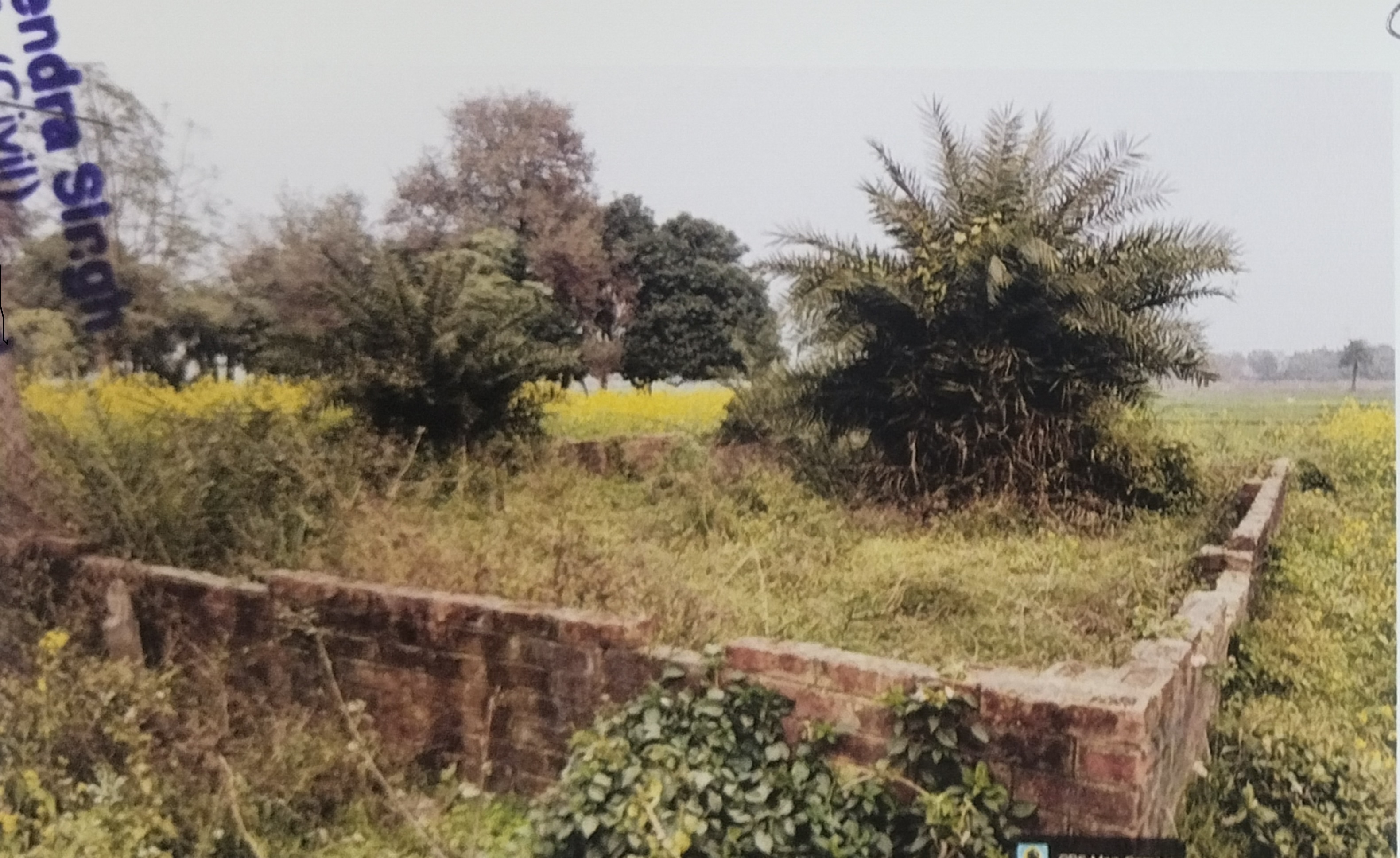 Individual House for sale in Arrah — photo 1