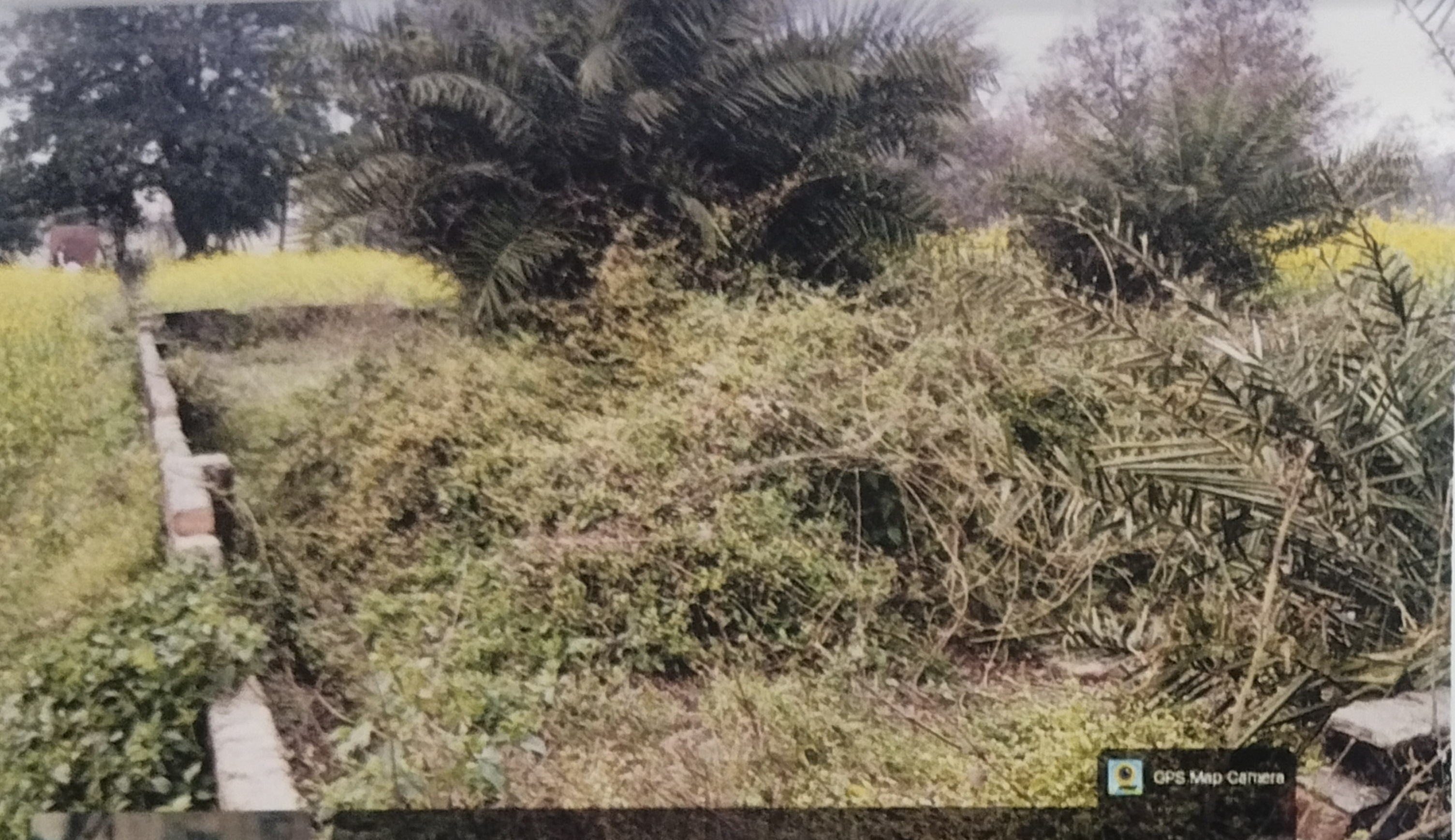 Individual House for sale in Arrah — photo 2