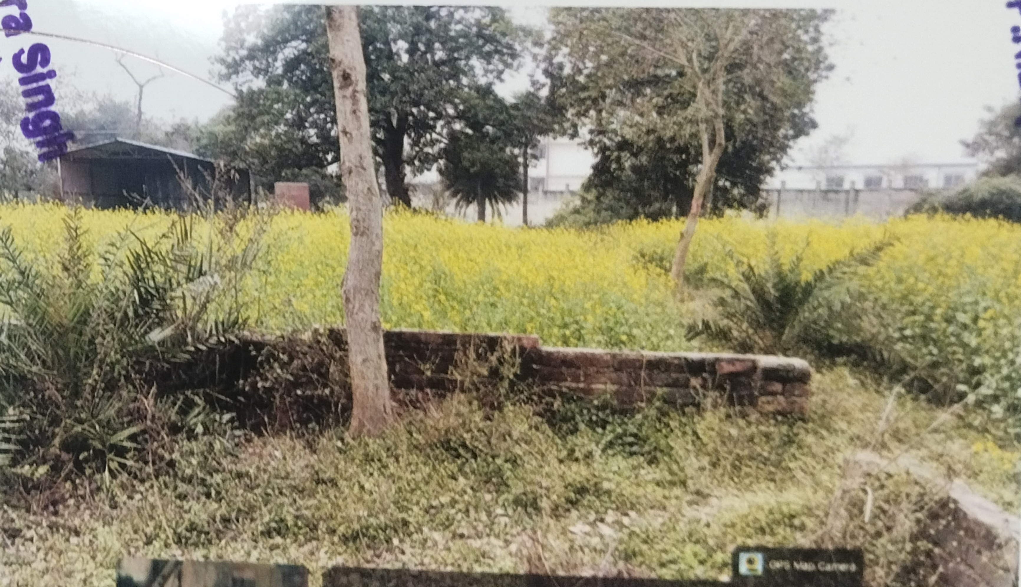 Individual House for sale in Arrah — photo 3