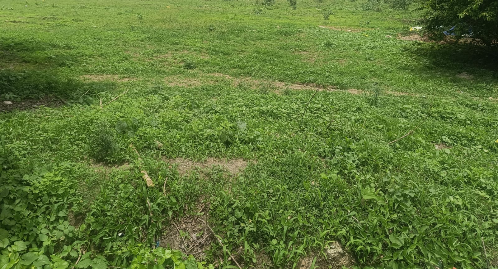Plot for sale in FROM TAR PLANT BEHIND FLYOVER Bhadravati MIDC — photo 3