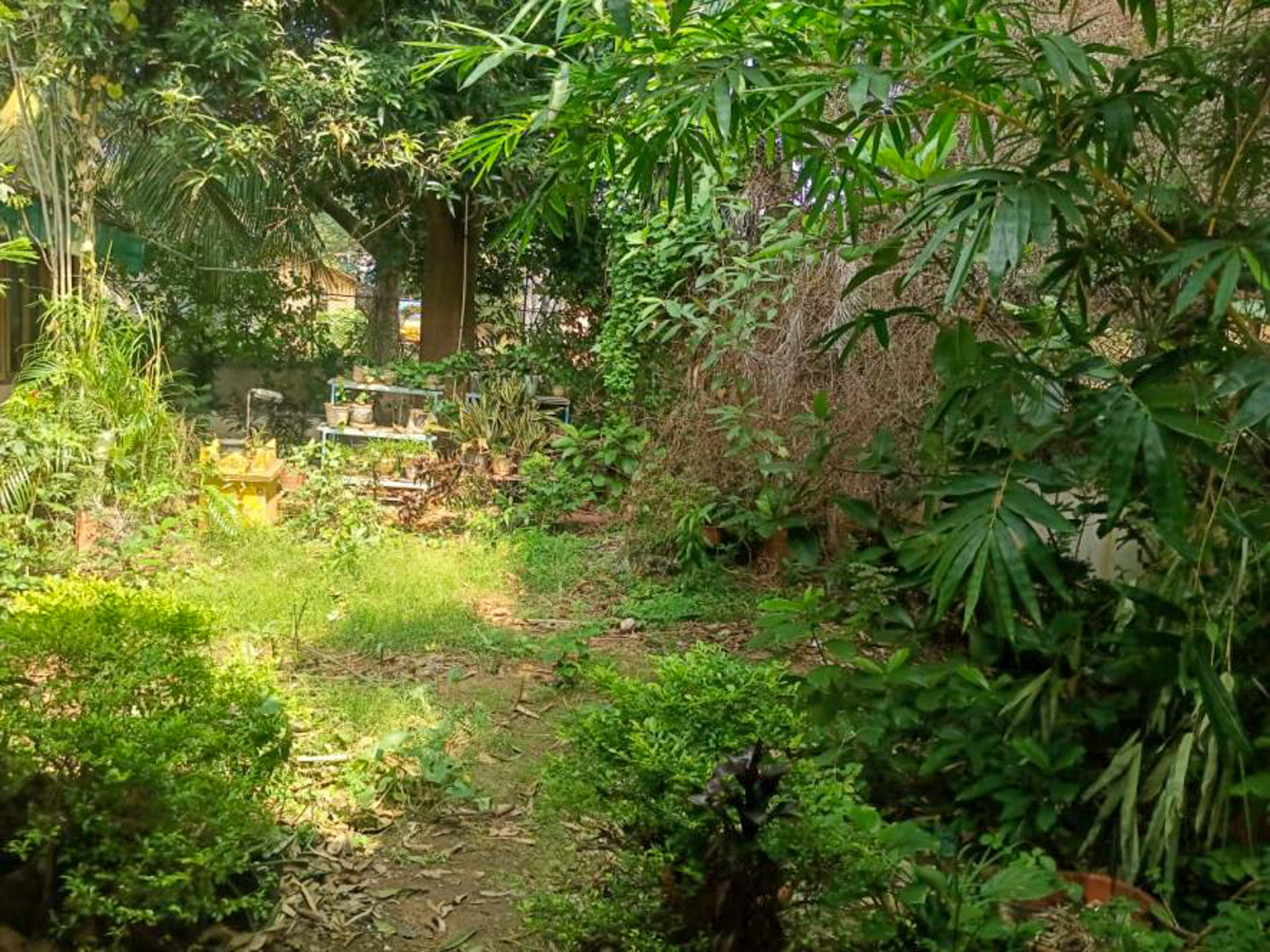 600 square yard Individual House for sale in INDEPENDENT HOUSE, Rajamundry, East Godavari District, Andhra Pradesh Rajamahendravaram — photo 4