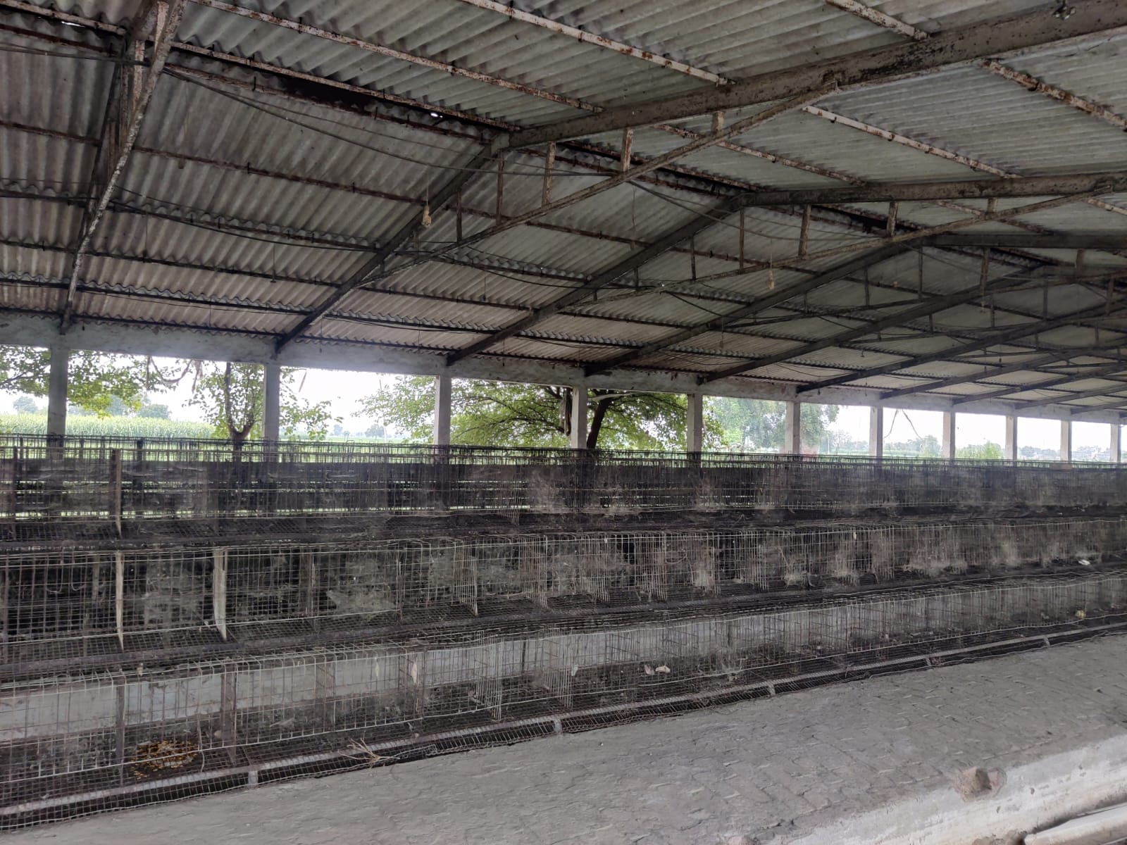 PLANT & MACHINERY for sale in Jind — photo 1