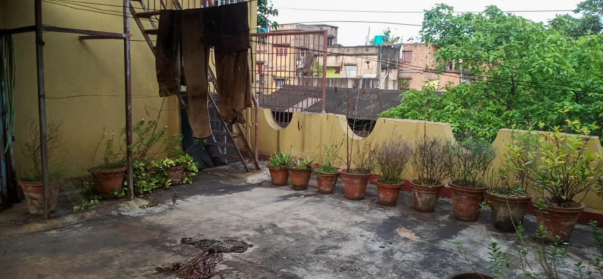 Individual House for sale in NEAR BANDHU MILAN SANGHA CLUB Howrah — photo 11