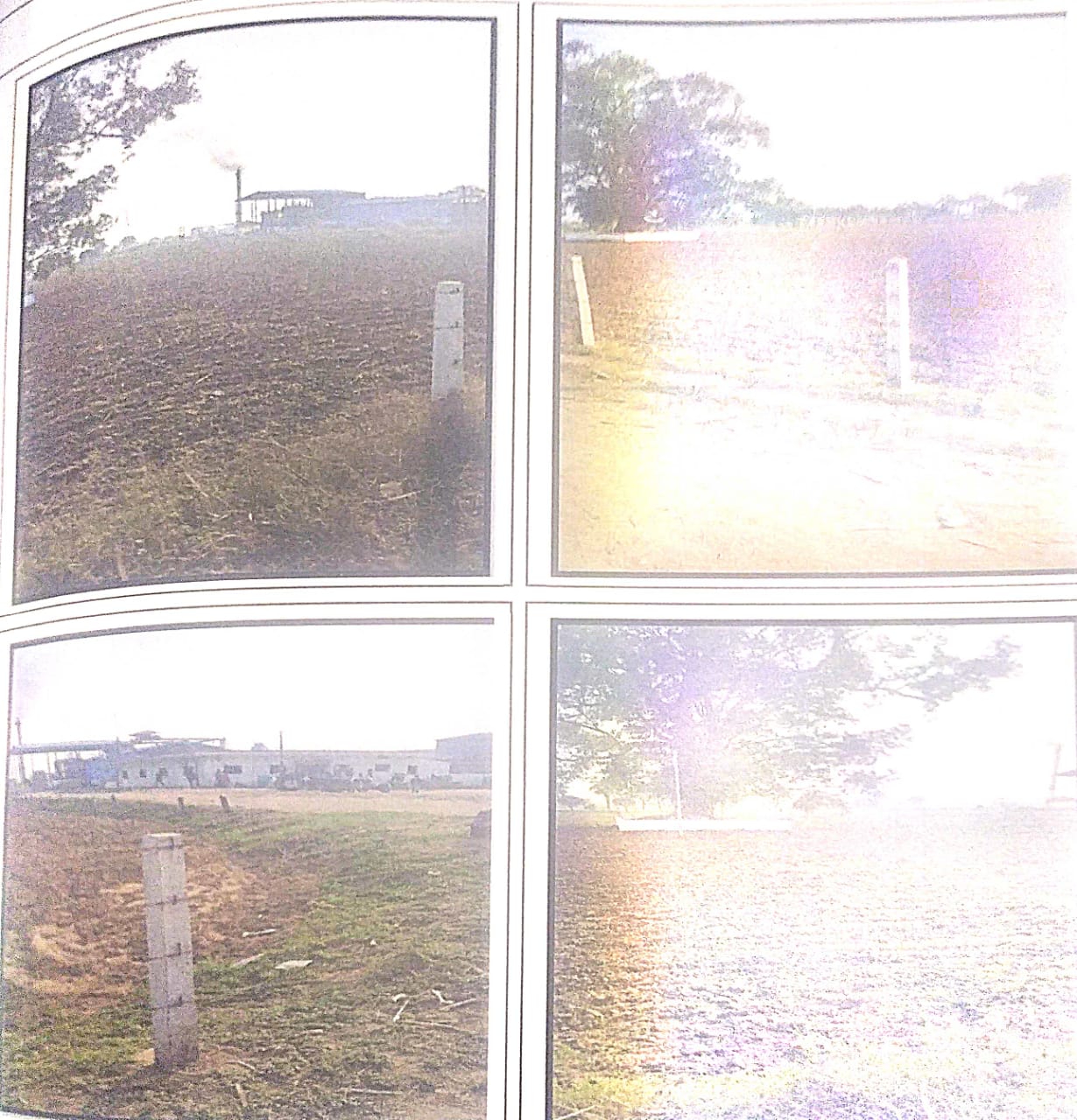 Plot for sale in Gadarwara — photo 1