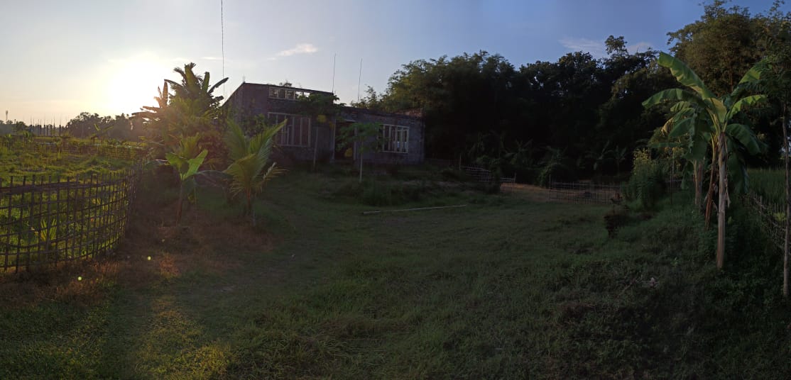 Individual House for sale in Titabar Chekonidhara — photo 1