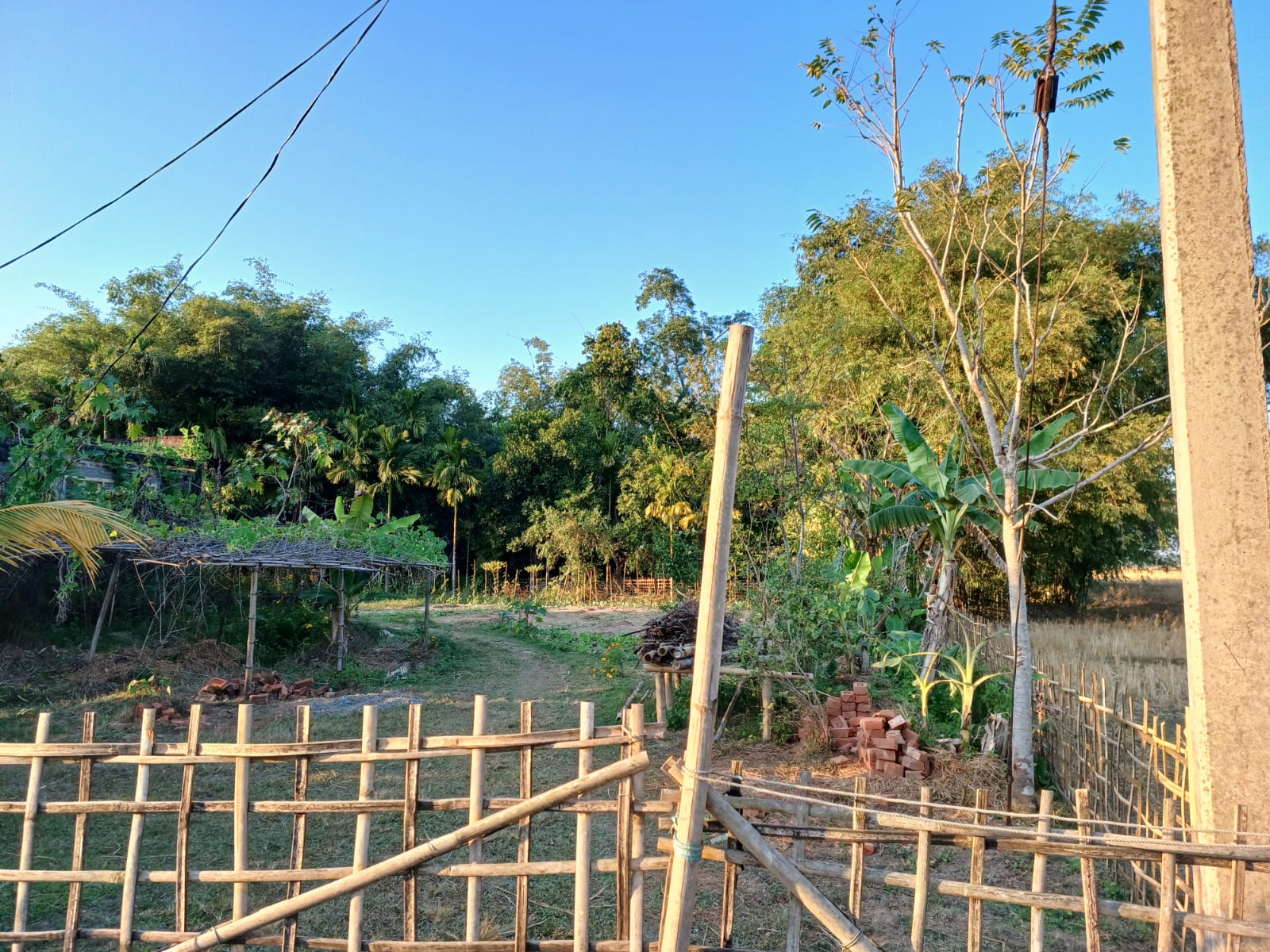 Individual House for sale in Titabar Chekonidhara — photo 3