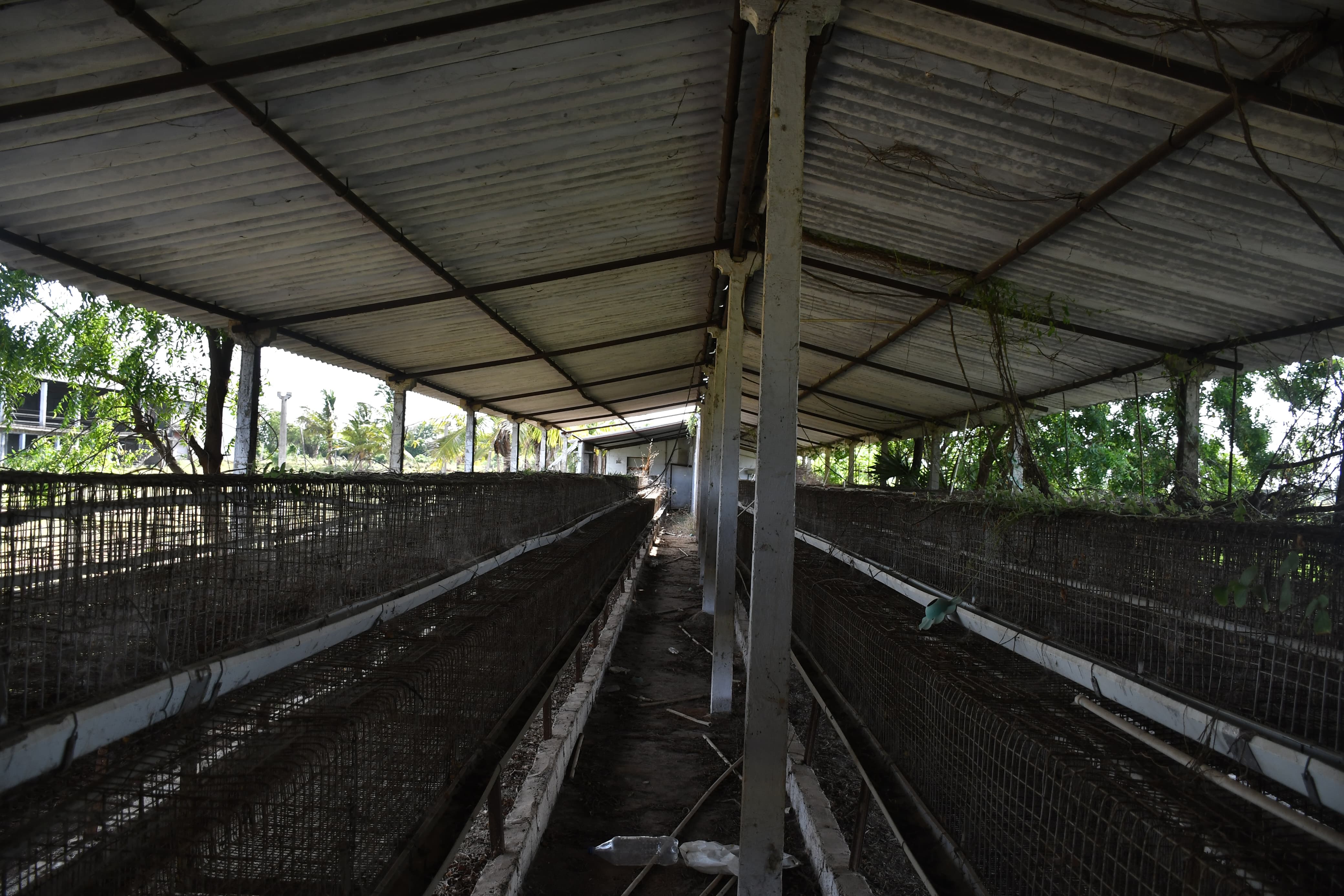 Poultry farm along with Non Agri.Land of 2.84 Acres land for sale in Main Road faced 2 Poultry Farms in 2.84 Ac Non-Agri Land at Thalluru road Bitragunta Kovurpalle — photo 14