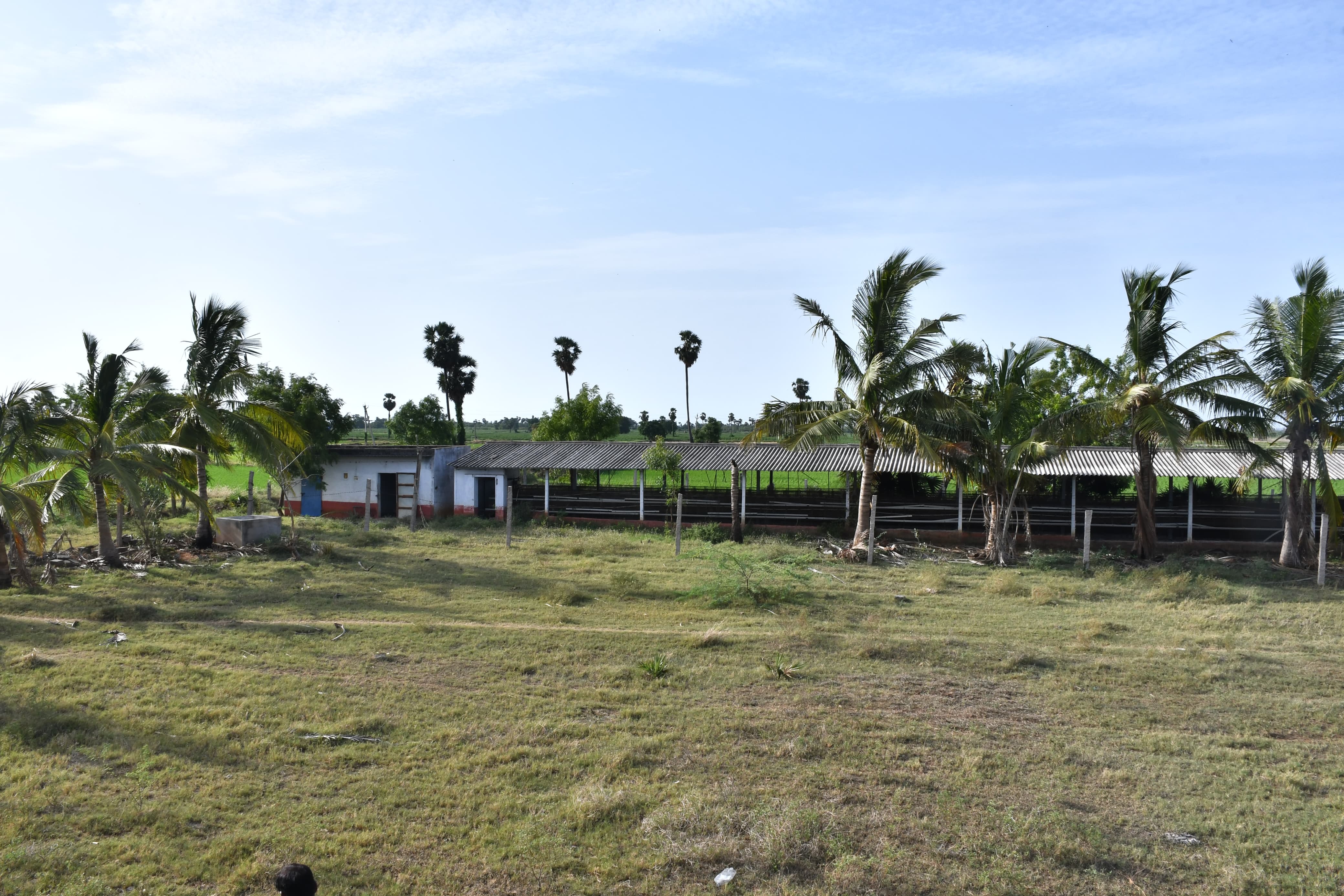 Poultry farm along with Non Agri.Land of 2.84 Acres land for sale in Main Road faced 2 Poultry Farms in 2.84 Ac Non-Agri Land at Thalluru road Bitragunta Kovurpalle — photo 4