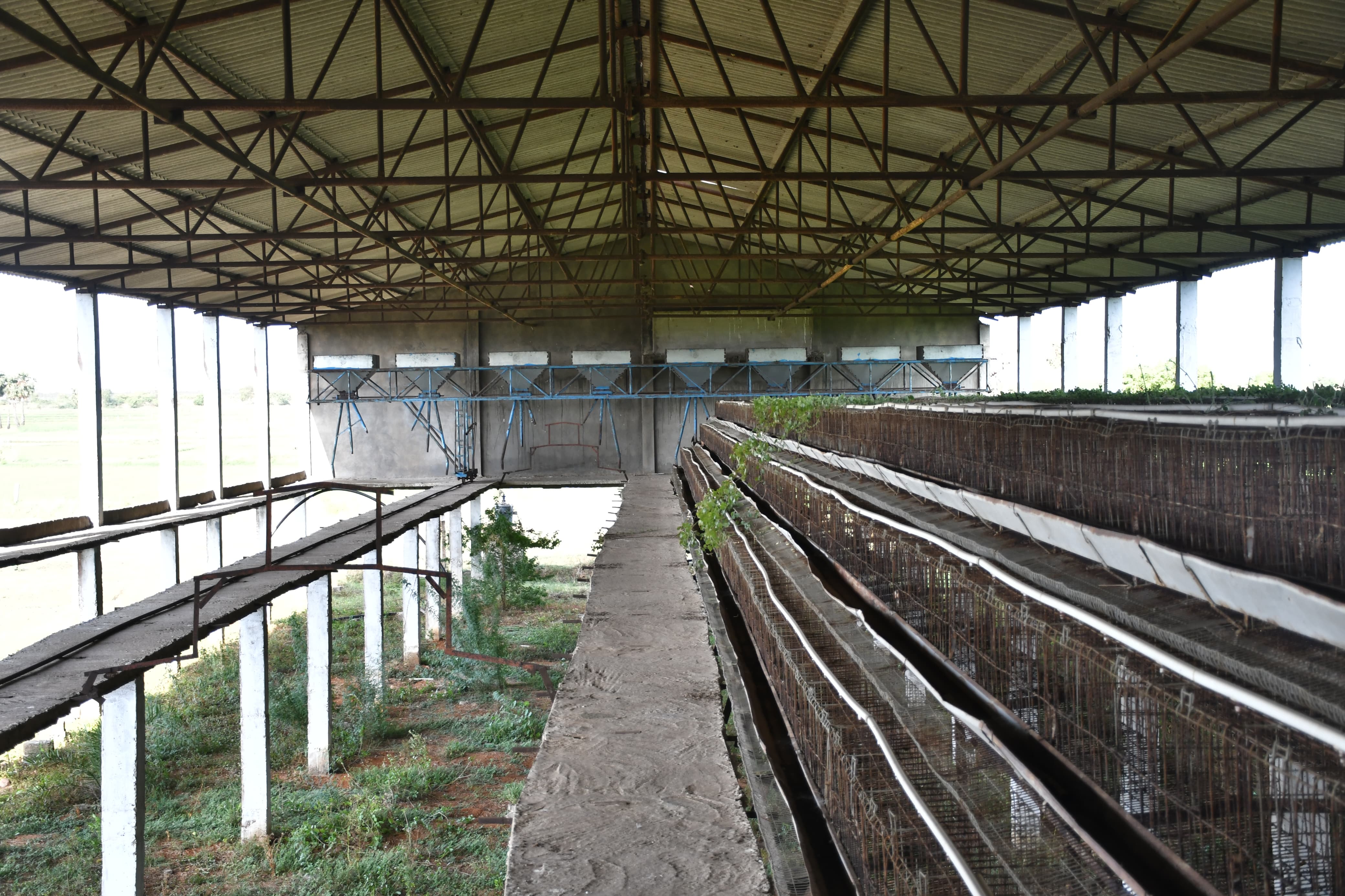 Poultry farm along with Non Agri.Land of 2.84 Acres land for sale in Main Road faced 2 Poultry Farms in 2.84 Ac Non-Agri Land at Thalluru road Bitragunta Kovurpalle — photo 6