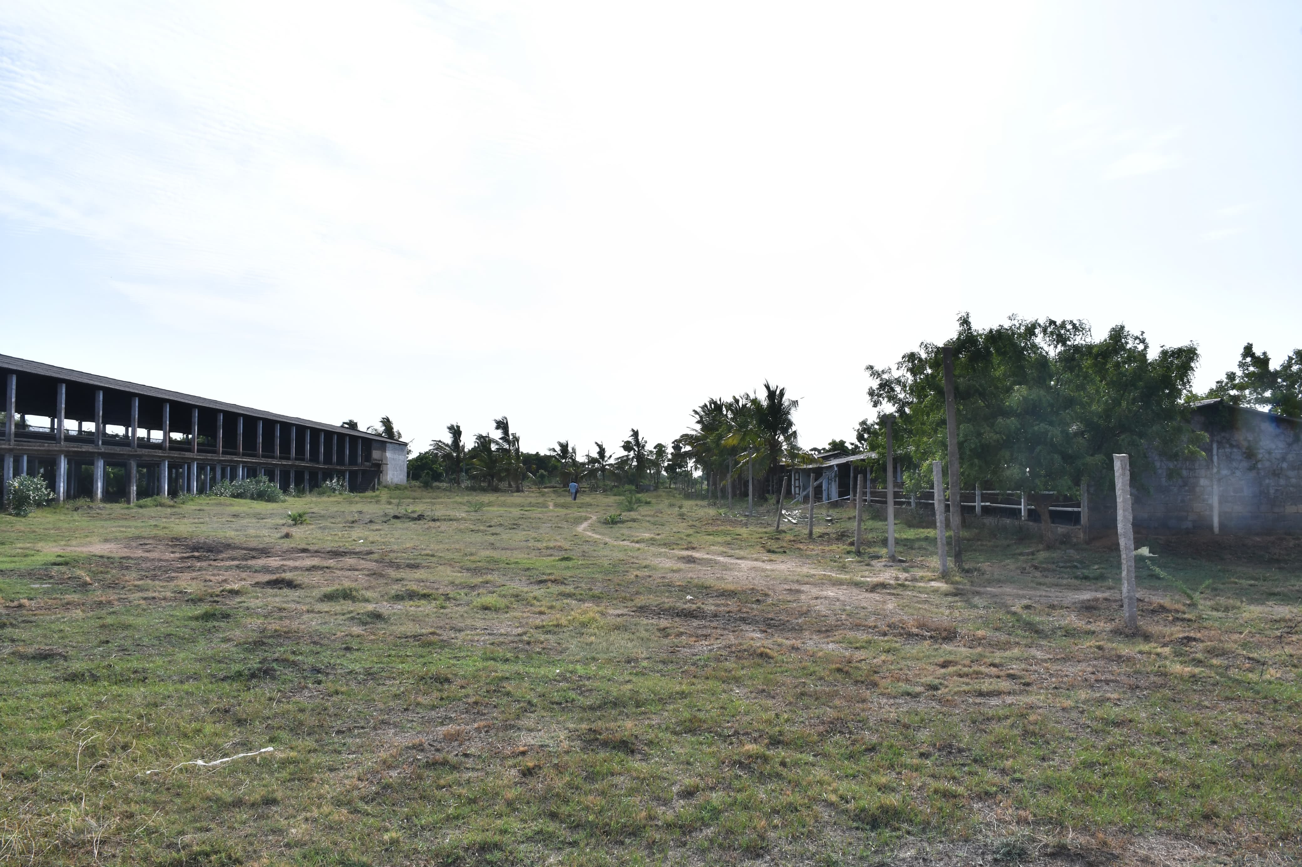 Poultry farm along with Non Agri.Land of 2.84 Acres land for sale in Main Road faced 2 Poultry Farms in 2.84 Ac Non-Agri Land at Thalluru road Bitragunta Kovurpalle — photo 7