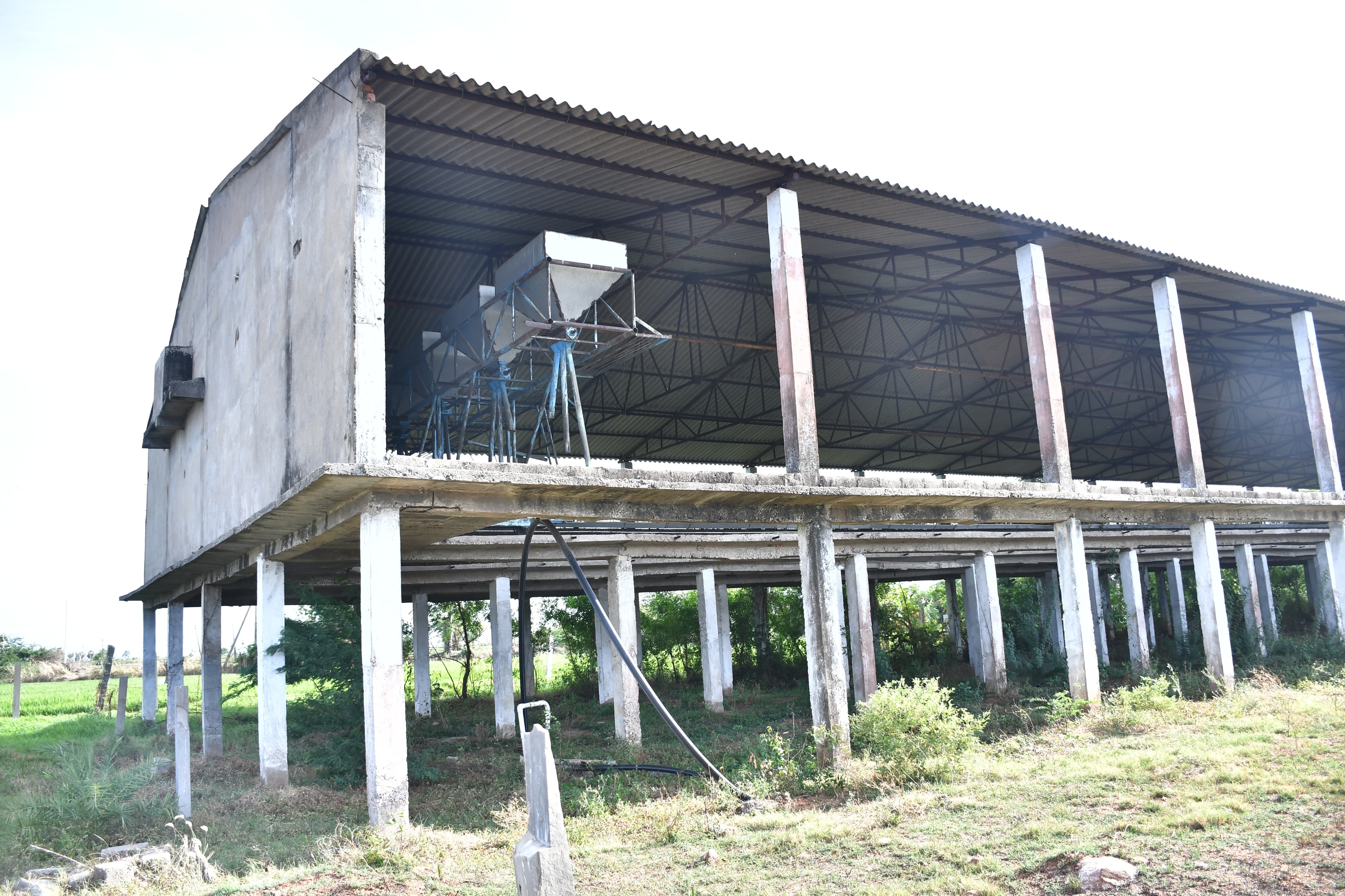 Poultry farm along with Non Agri.Land of 2.84 Acres land for sale in Main Road faced 2 Poultry Farms in 2.84 Ac Non-Agri Land at Thalluru road Bitragunta Kovurpalle — photo 9