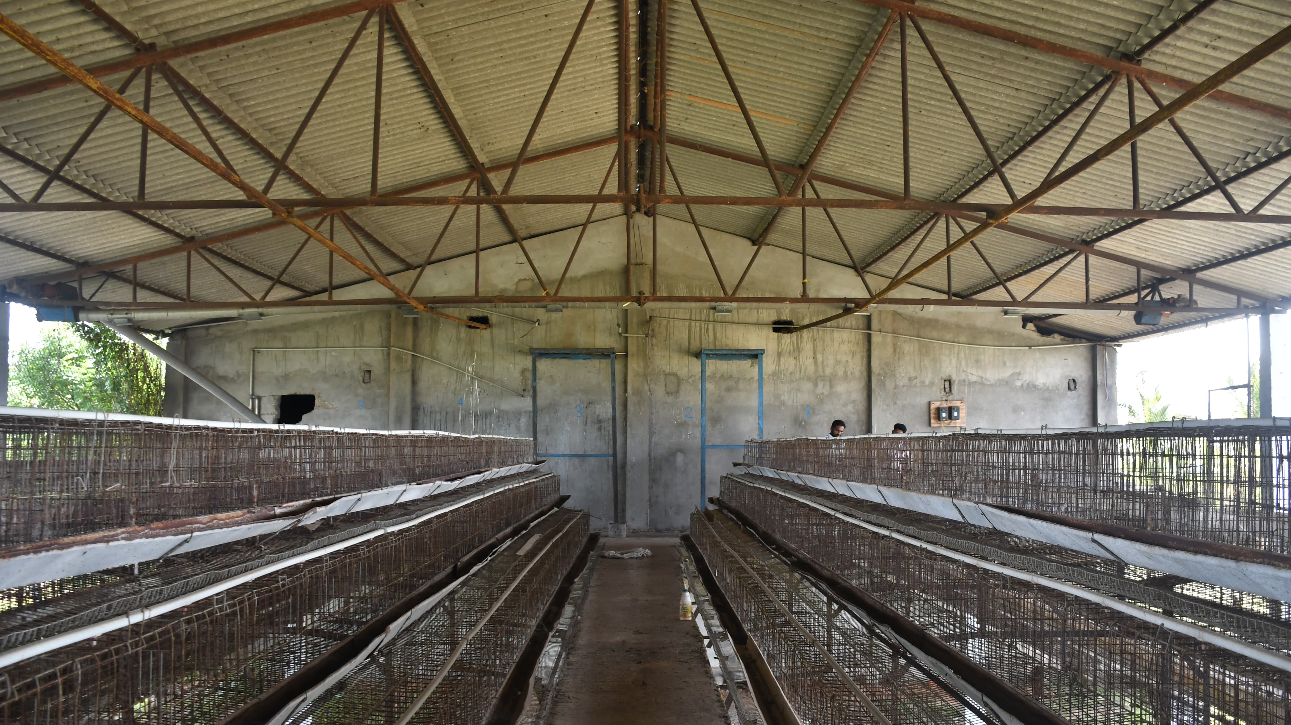 Poultry farm along with Non Agri.Land of 2.84 Acres land for sale in Main Road faced 2 Poultry Farms in 2.84 Ac Non-Agri Land at Thalluru road Bitragunta Kovurpalle — photo 2