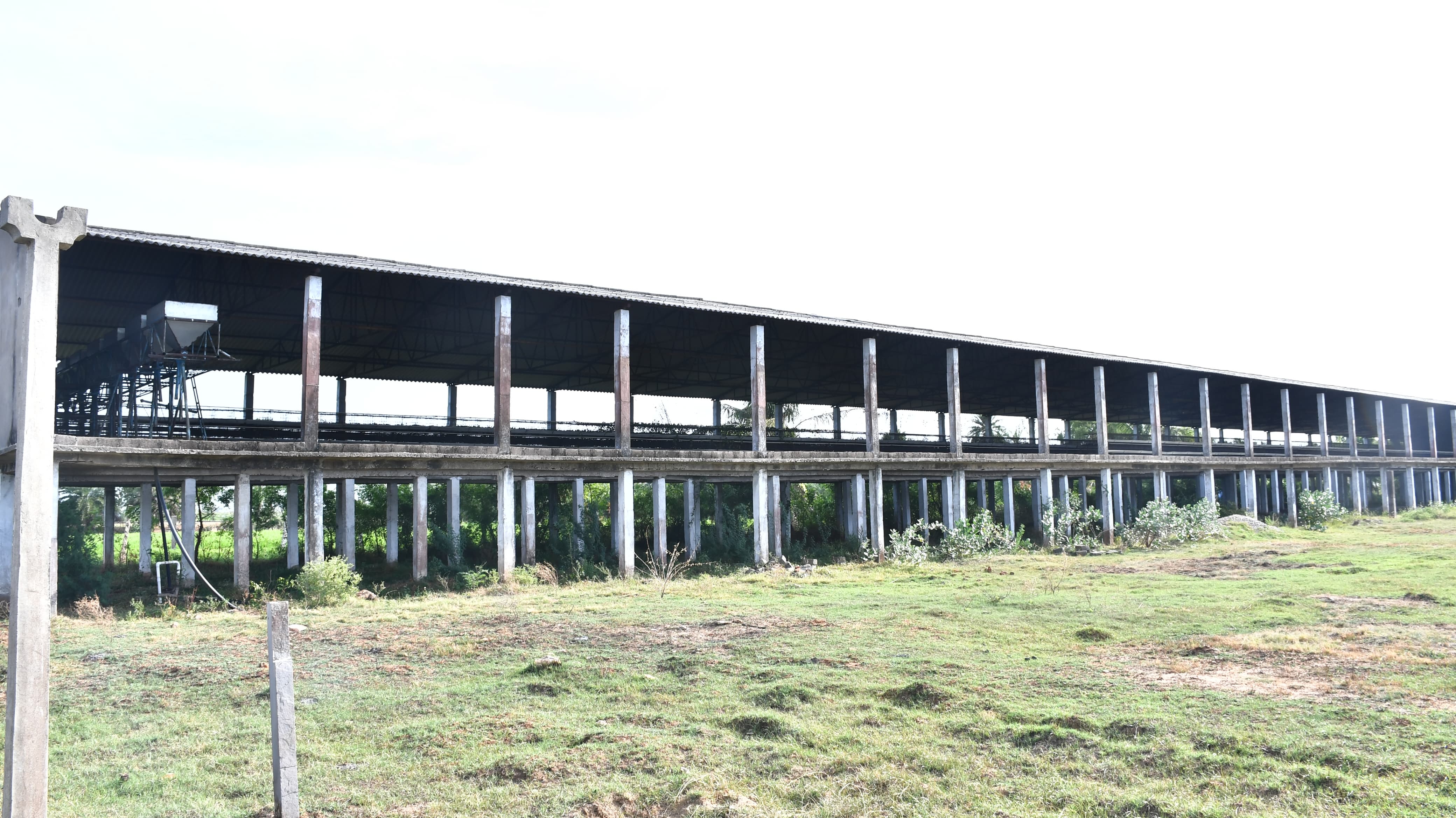 Poultry farm along with Non Agri.Land of 2.84 Acres land for sale in Main Road faced 2 Poultry Farms in 2.84 Ac Non-Agri Land at Thalluru road Bitragunta Kovurpalle — photo 12