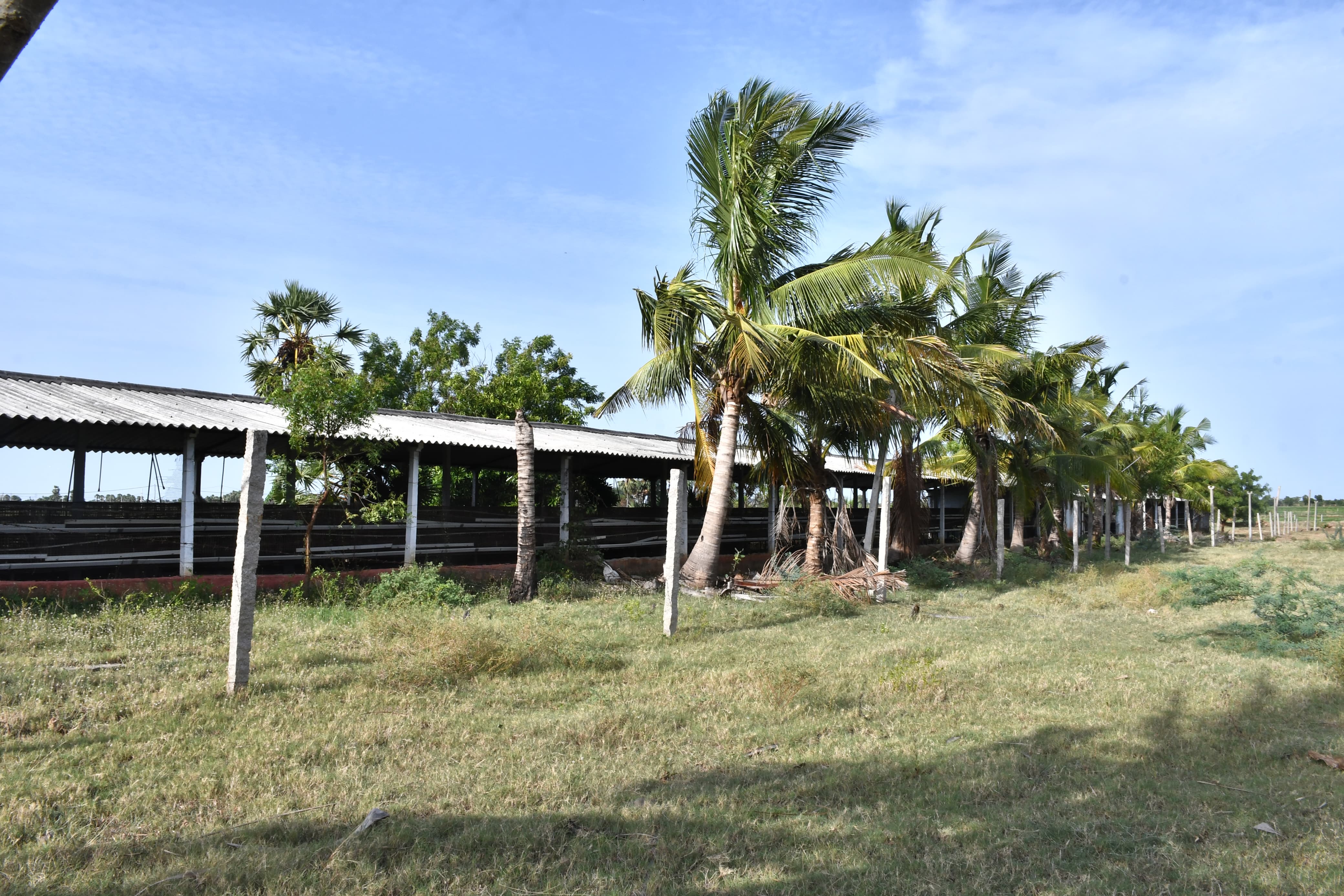 Poultry farm along with Non Agri.Land of 2.84 Acres land for sale in Main Road faced 2 Poultry Farms in 2.84 Ac Non-Agri Land at Thalluru road Bitragunta Kovurpalle — photo 16
