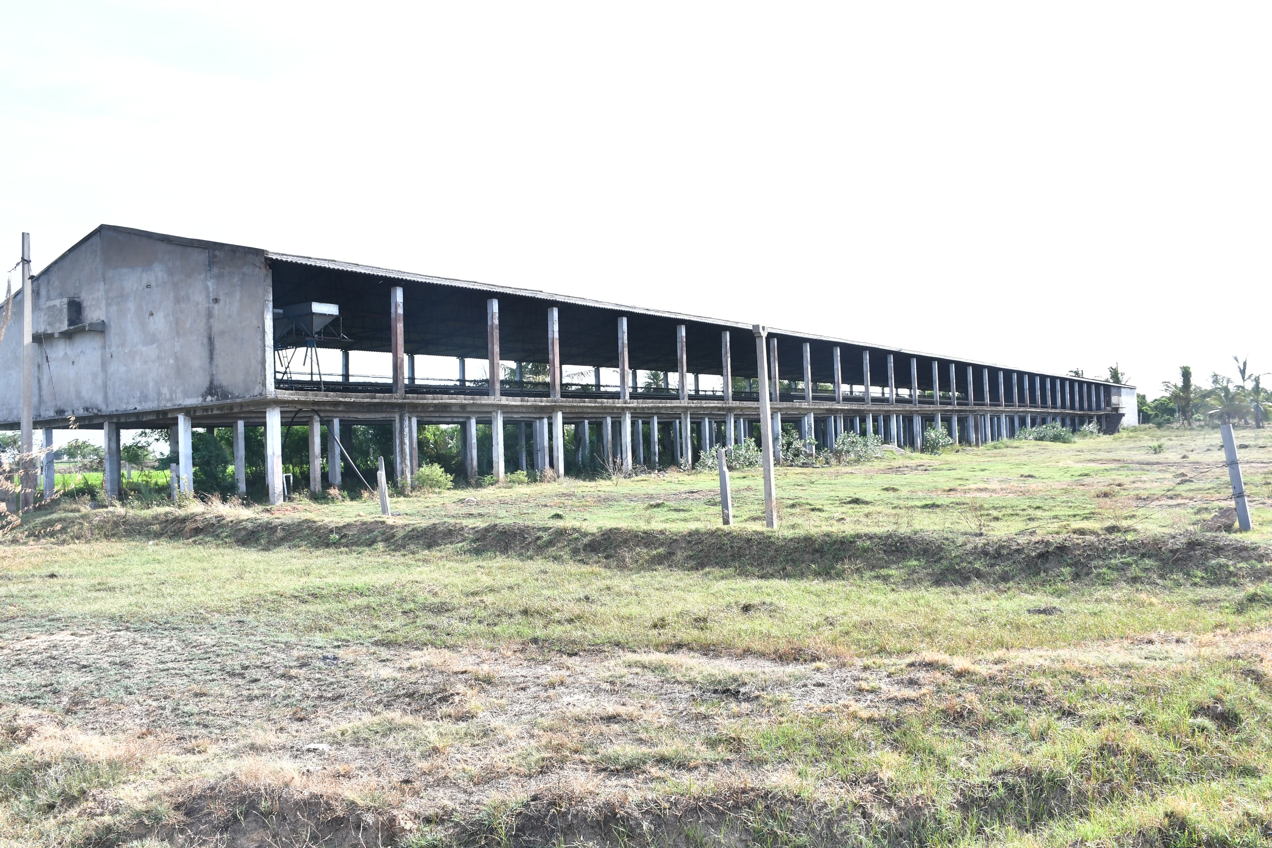 Poultry farm along with Non Agri.Land of 2.84 Acres land for sale in Main Road faced 2 Poultry Farms in 2.84 Ac Non-Agri Land at Thalluru road Bitragunta Kovurpalle — photo 19