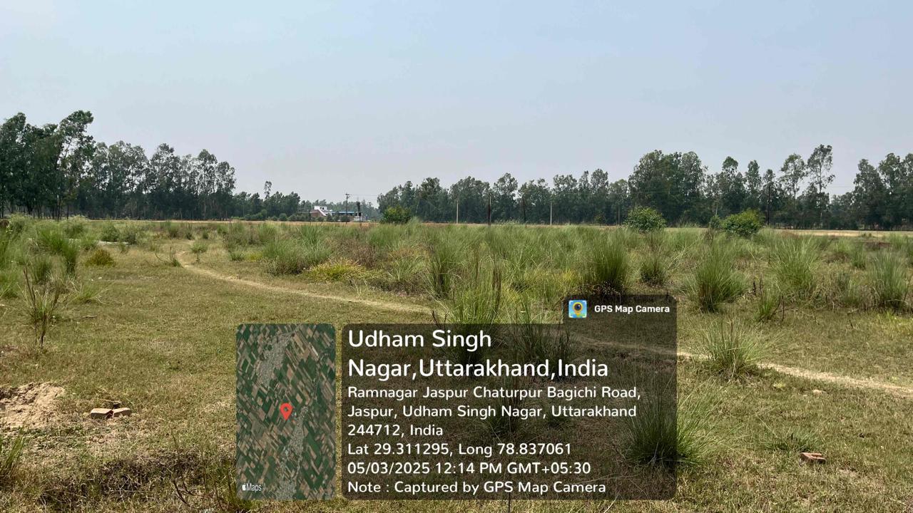 9430 square meter Plot for sale in Village Niwarmundi, Tehsil Jaspur, Jaspur — photo 2