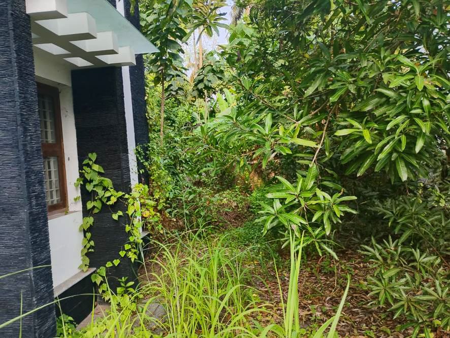 Individual House for sale in Chavakkad — photo 12
