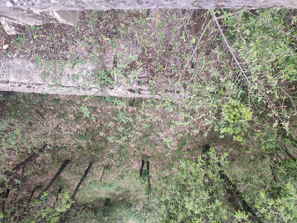 Flat for sale in shimla Shimla — photo 5