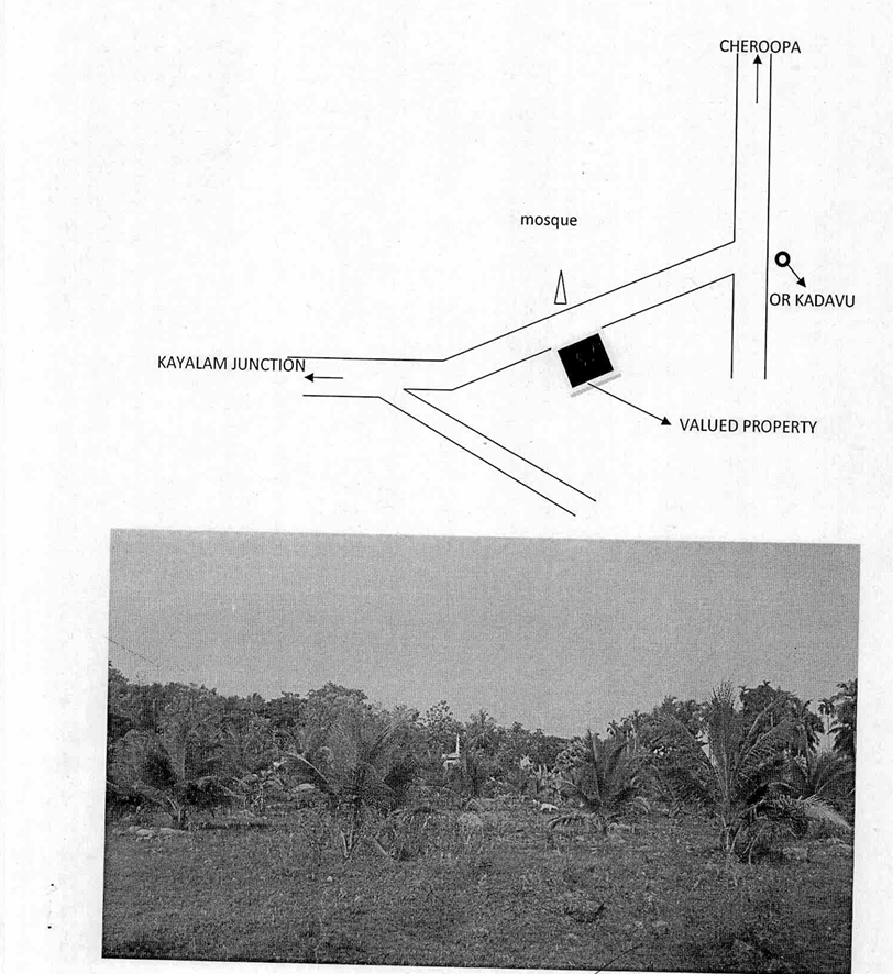 Plot for sale in Vacant Land, Mavoor, Kozhikode Pantheeramkavu — photo 3