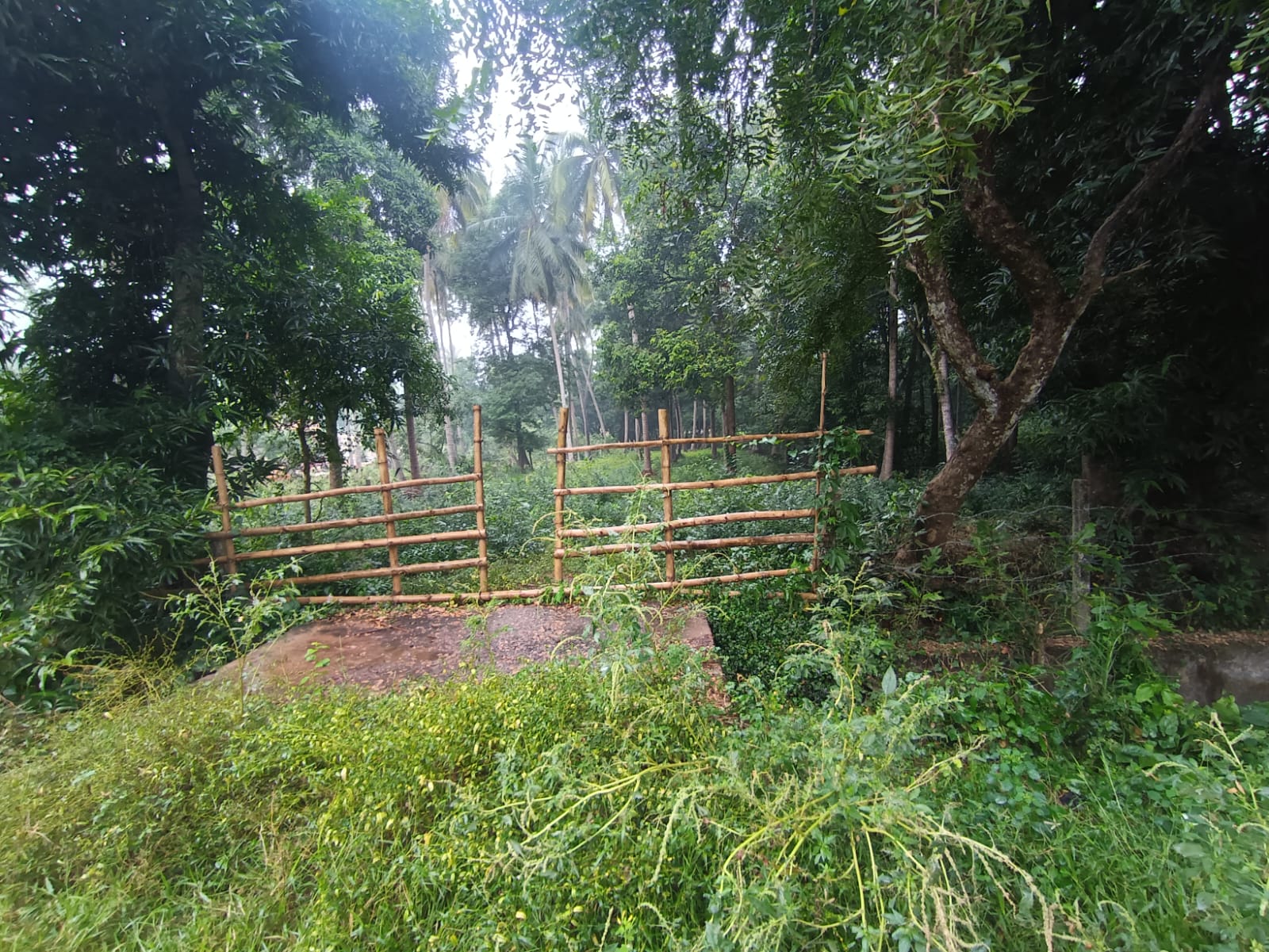 Plot for sale in GANJAM,ODISHA Kodala — photo 1