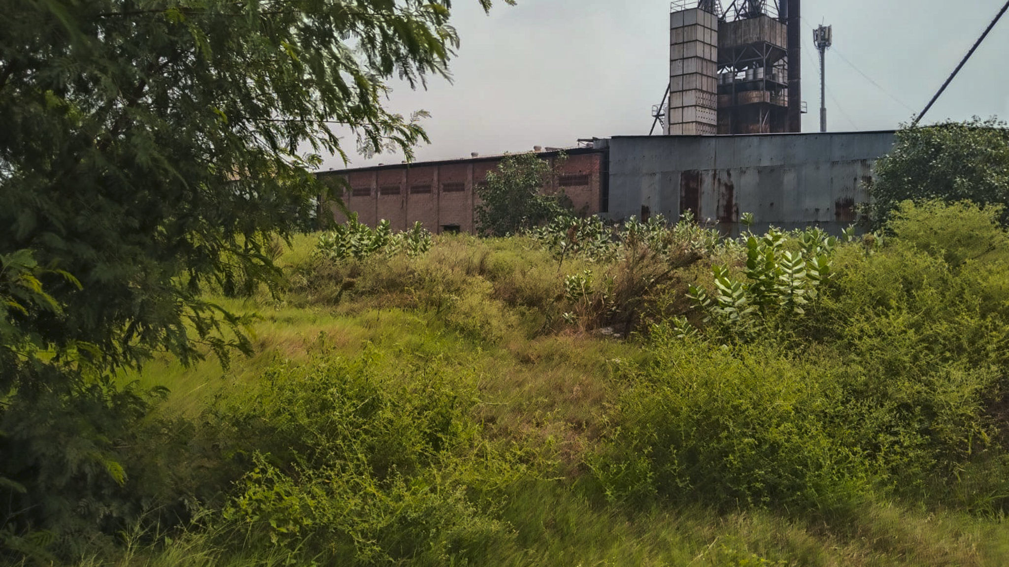 Industrial Plot with Factory Building for sale in kaithal Kaithal — photo 2