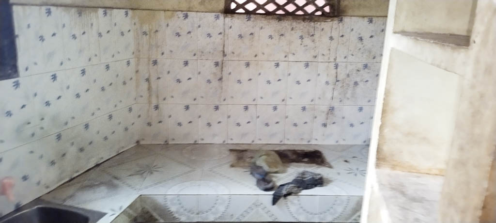 Individual House for sale in KANYAKUMARI Kollancode — photo 10