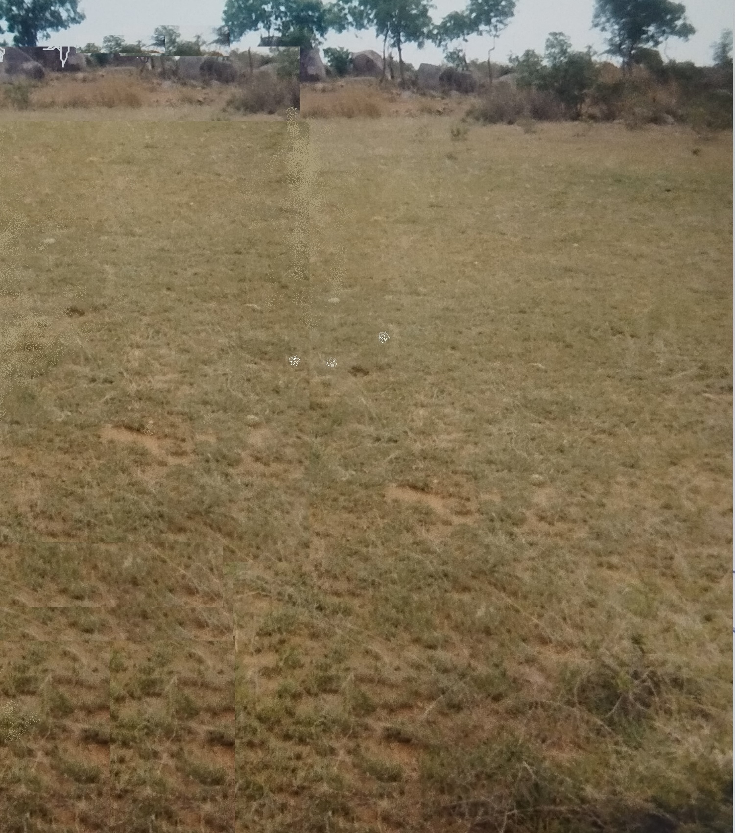 Plot for sale in Suryapet — photo 1