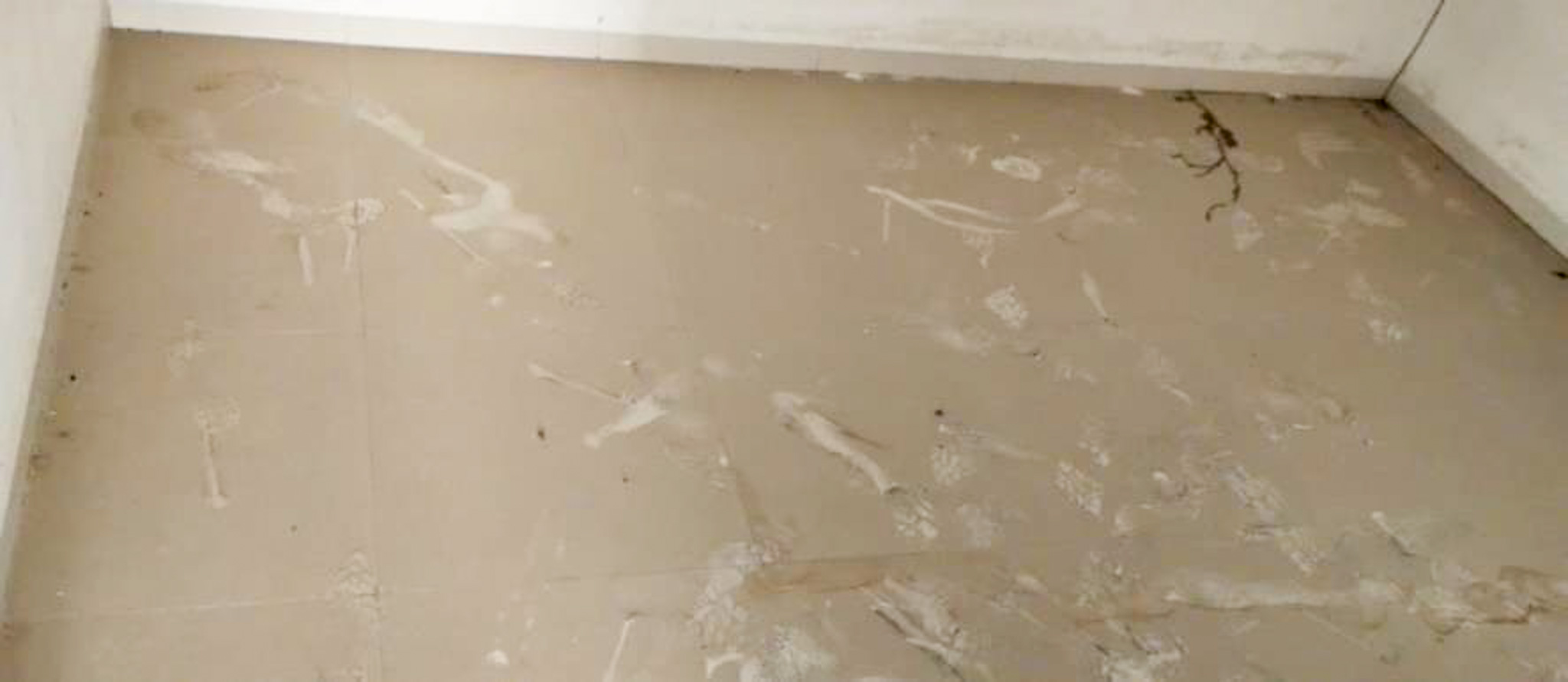 Flat for sale in Valsad — photo 1