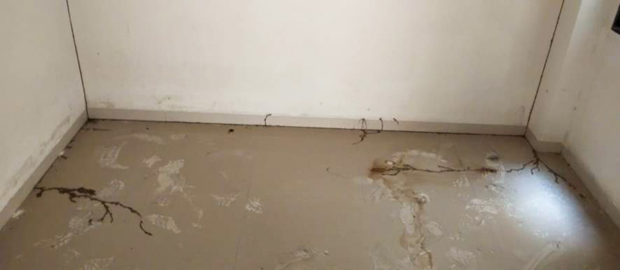 Flat for sale in Valsad — photo 14
