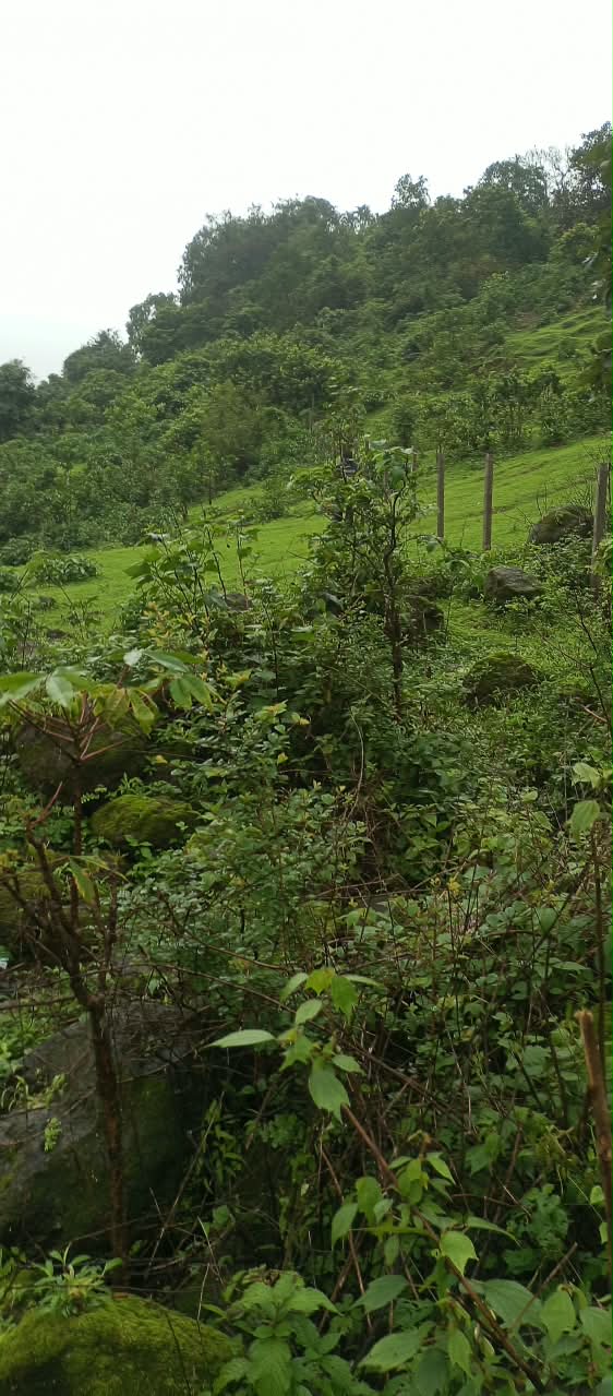 Non Agriculture Open land for sale in Prime location advantage adjacency to Della Adventure Park & Resort hilly terrain. Lonavala — photo 3