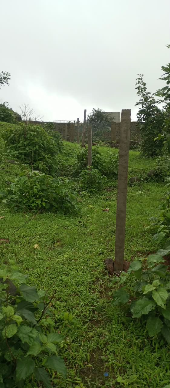 Non Agriculture Open land for sale in Prime location advantage adjacency to Della Adventure Park & Resort hilly terrain. Lonavala — photo 1