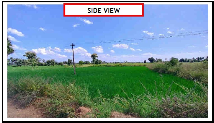31828 square feet Plot for sale in Tiruvannamalai — photo 1