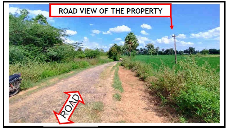 31828 square feet Plot for sale in Tiruvannamalai — photo 2