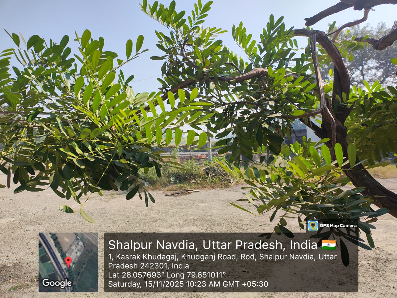 11610 square meter Industrial Plot with Factory Building for sale in Katra — photo 5