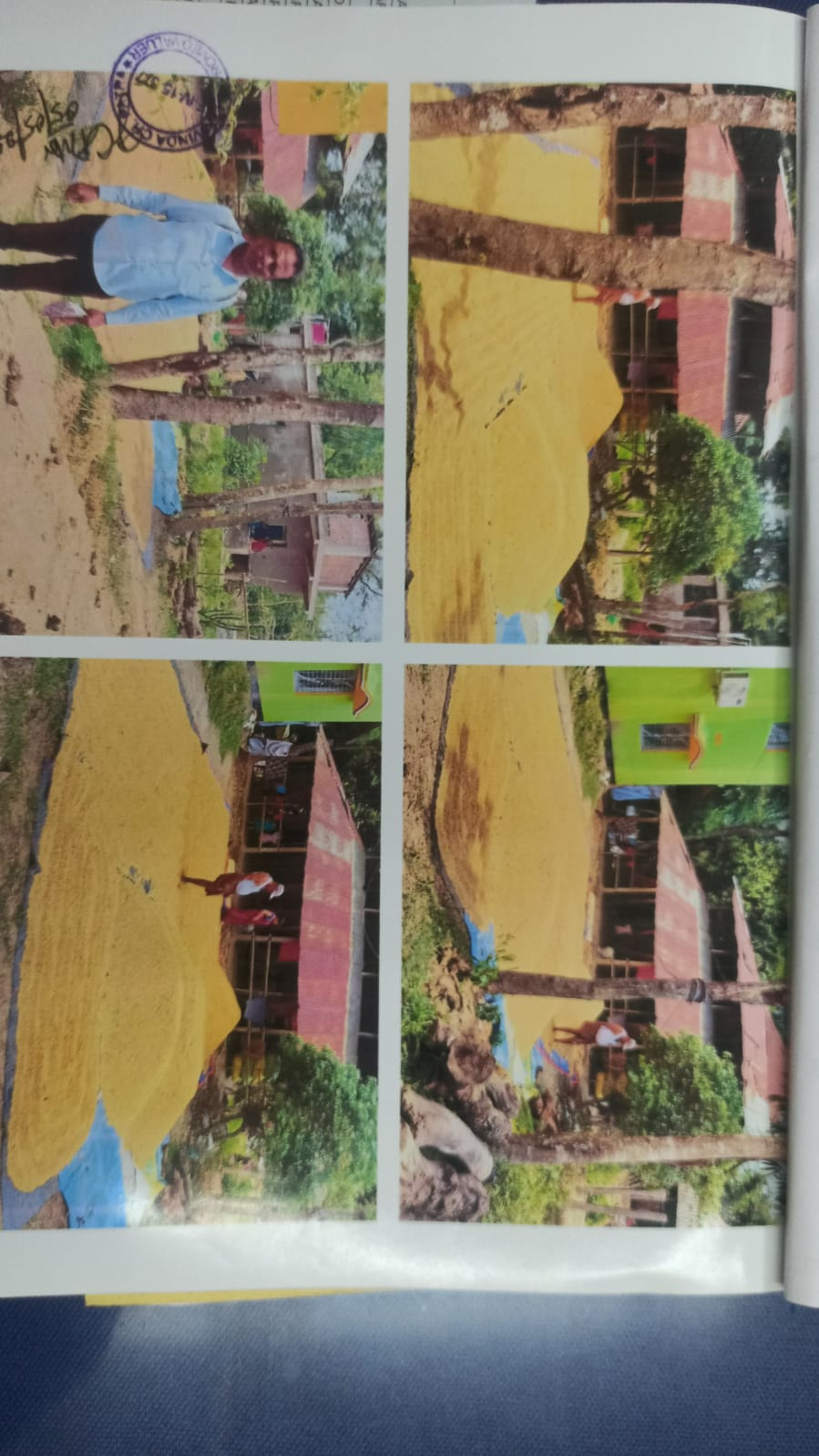 Individual House for sale in Jaleswar Baleswar — photo 1