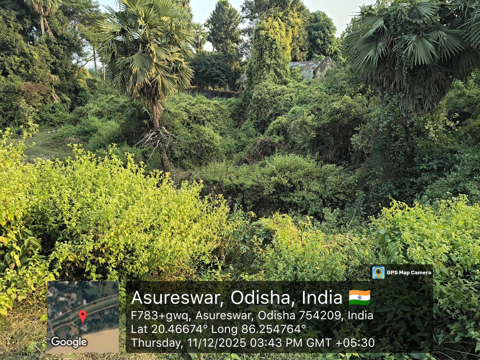 9801 square feet Plot for sale in VILLAGE Cuttack — photo 1