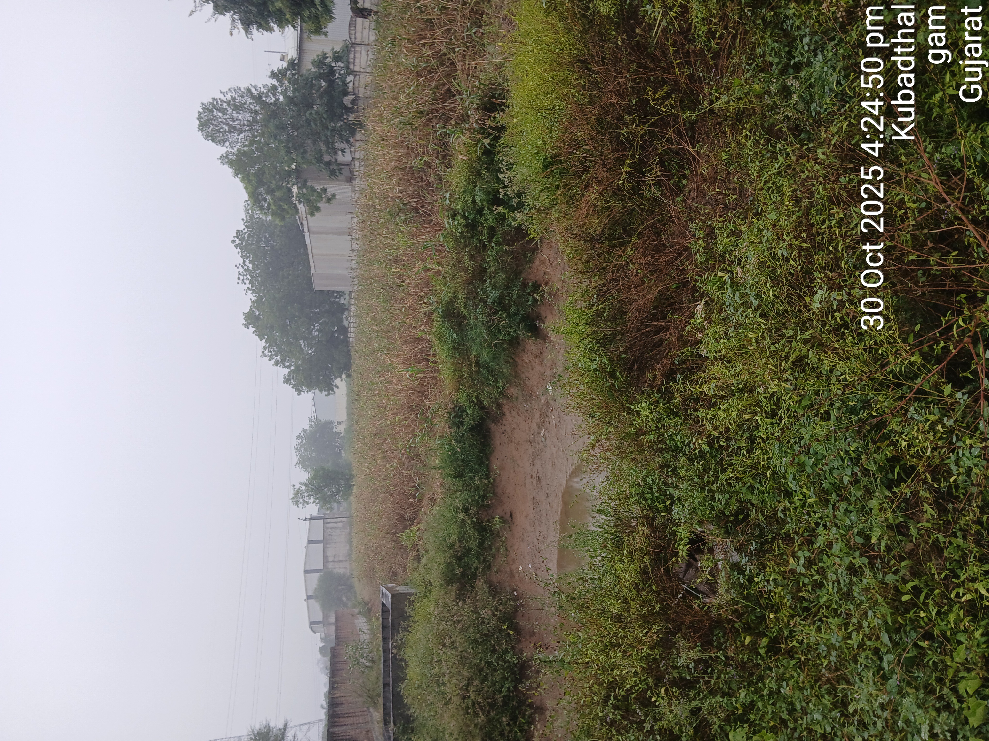 Industrial Plot for sale in Daskroi Ahmedabad Ahmedabad — photo 3